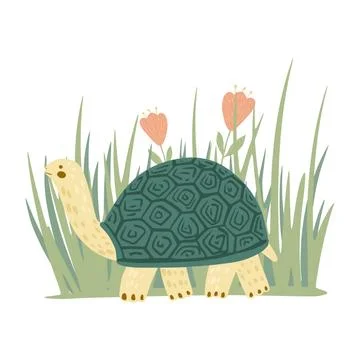 Composition turtle with grass and flowers isolated on white background. Cute  Stockillustratie