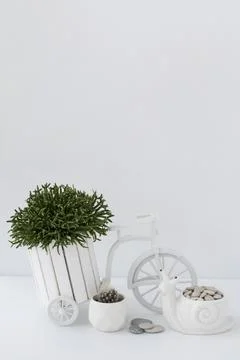 A composition of two cacti on a white table. Stock Photos