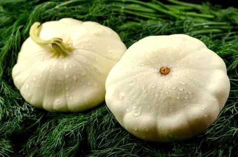 Composition with two Raw Pattypan squash and a bunch of green dill on the bla Stock Photos