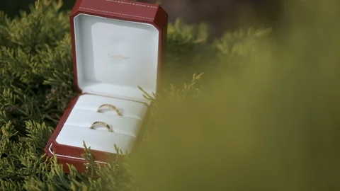 Composition Of Two Wedding Rings. Video stock 108225056