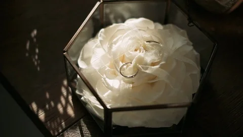 Composition Of Two Wedding Rings. Stock Footage 111146096