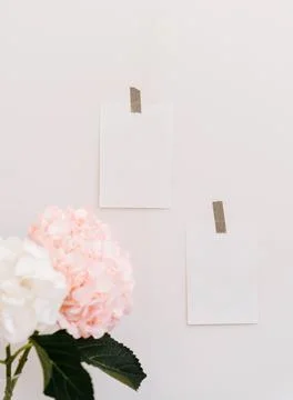 Composition of two white of postcard glued with scotch taped and hydrangea fl Fotos de archivo