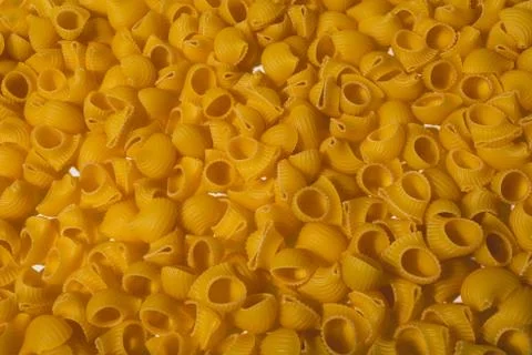 Composition of undigested macaroni pasta made with hard light on a white Stock Photos
