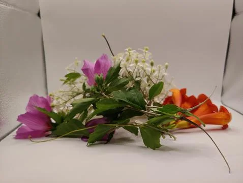 A composition of various bright flowers Stock Photos