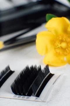 Composition of various forms of false eyelashes and bright yellow flower on.. Stock Photos