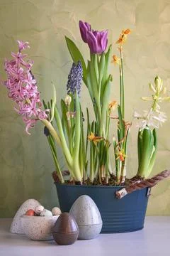 Composition with various spring flowers and easter eggs. Stock Photos