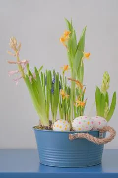 Composition with various spring flowers and easter eggs. Stock Photos