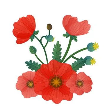 Composition of vector red poppy. Big coral and red flowers. Stock Illustration