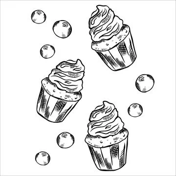 Composition with vector sweets, cupcake, and berries. Cupcake and berries f.. Stock Illustration