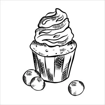 Composition with vector sweets, cupcake with berries. Cupcake, berries, str.. Stock Illustration