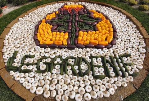 Composition of vegetables Stock Photos