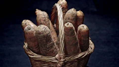 Composition of vegetables, rotation of a basket with root vegetables,  carrot Stock Footage 150199785