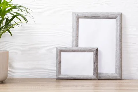 Composition of white cards in frames with copy space and plant on white Stock Photos