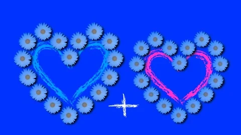 Composition of white daisies. Stock Footage 135726268