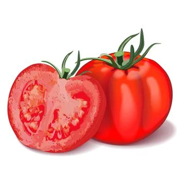 Composition of whole and half tomatoes. Red Globe tomato for banners, flyers Ilustración de archivo