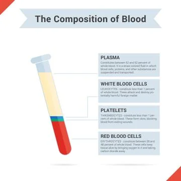 Composition of whole blood Stock Illustration