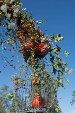 Composition of wild plants Stock Photos