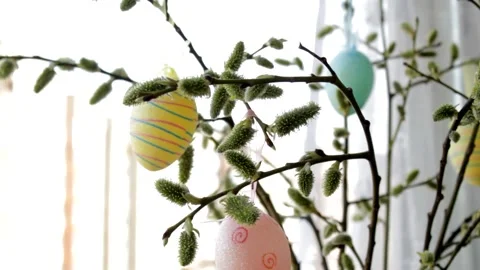 Composition of willow branches and Easter eggs. Stock Footage 235172800