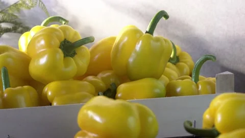 A composition of yellow bell pepper Stock Footage 132603137