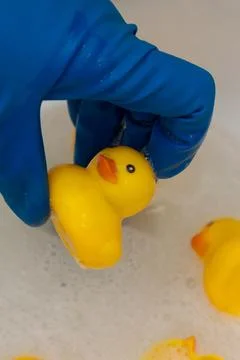 A composition of yellow rubber ducks demonstrating the need for hygienic to.. Stock Photos