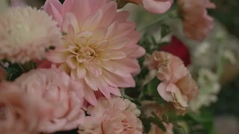 Compositions of live pink flowers, spring garden Stock-Footage 148281321
