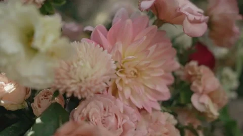 Compositions of live pink flowers, spring garden Stock Footage 148281398
