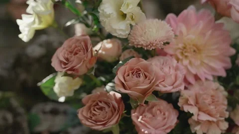 Compositions of live pink flowers, spring garden Stock Footage 148281439