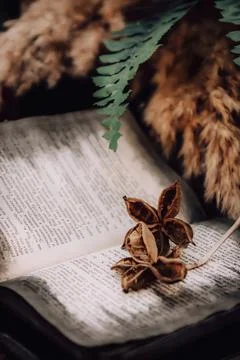 Compositions of wedding decor before the wedding Stock Photos