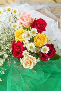 Composityion With Flowers Stock Photos