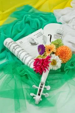 Composityion With Flowers Stock Photos