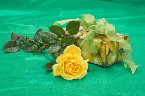 Composityion With Flowers Stock Photos