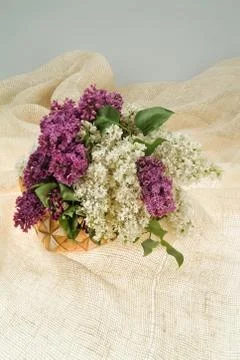 Composityion With Flowers Stock Photos