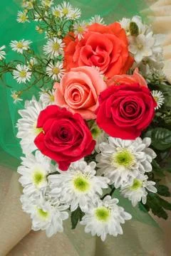 Composityion With Flowers Stock Photos