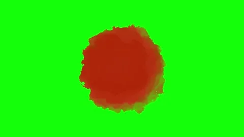 Composizione 1 rosso 1 Video stock 335152201