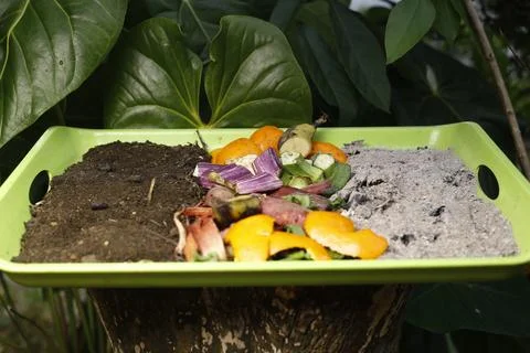 Compost and composted soil cycle as a composting pile of rotting kitchen sc.. 写真素材