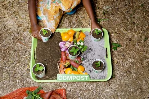 Compost and composted soil cycle as a composting pile of rotting kitchen sc.. Stock Photos