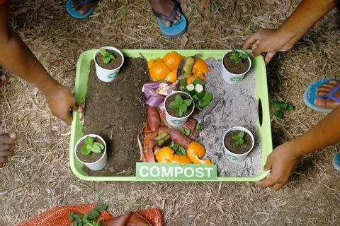 Compost and composted soil cycle as a composting pile of rotting kitchen sc.. Stock Photos