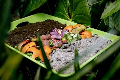 Compost and composted soil cycle as a composting pile of rotting kitchen sc.. Stock Photos