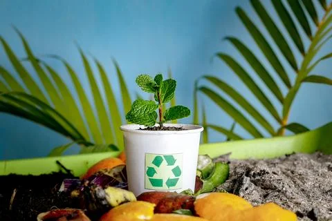 Compost and composted soil cycle as a composting pile of rotting kitchen sc.. Stock Photos