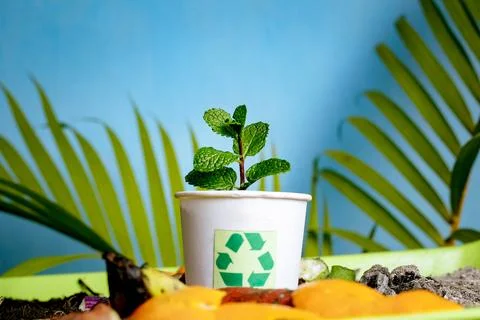 Compost and composted soil cycle as a composting pile of rotting kitchen sc.. Stock Photos