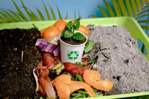 Compost and composted soil cycle as a composting pile of rotting kitchen sc.. Stock Photos