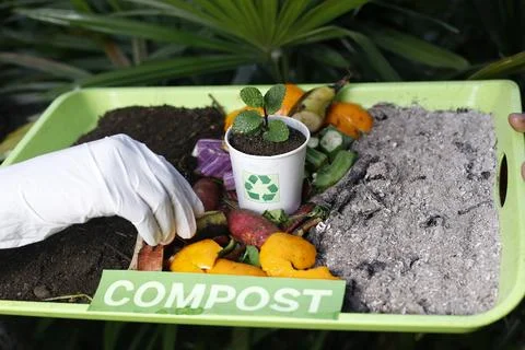 Compost and composted soil cycle as a composting pile of rotting kitchen sc.. Stock Photos