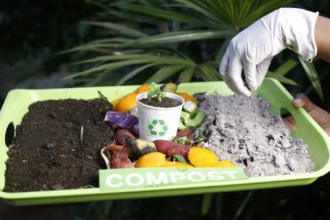 Compost and composted soil cycle as a composting pile of rotting kitchen sc.. Stock Photos