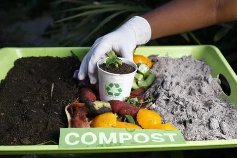 Compost and composted soil cycle as a composting pile of rotting kitchen sc.. Stock Photos