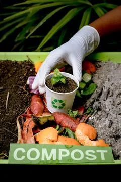 Compost and composted soil cycle as a composting pile of rotting kitchen sc.. Stock Photos