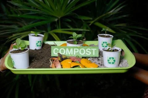 Compost and composted soil recycle on waste paper cups Stock Photos