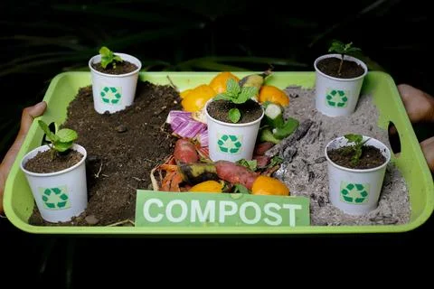 Compost and composted soil recycle on waste paper cups Foto stock