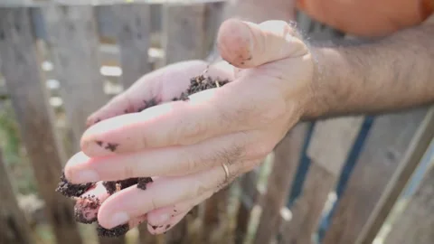 Compost and small earthworm in human hand. Earthworm in soil. Farming concept Stock-Footage 162500027