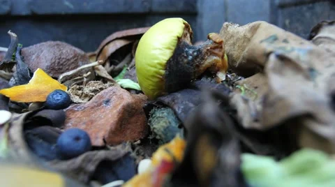 Compost bin banana Vídeos de archivo 54527024