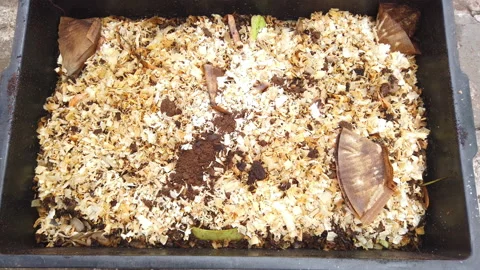 Compost Bin with food scraps, grass cuttings and dry leaves. Stock Footage 158564300